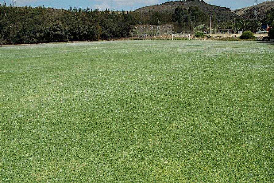 Terrain de football Las Burras, Espagne, avec gazon artificiel