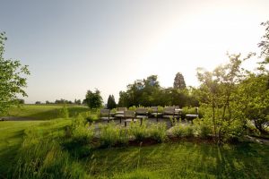 Oberwaid-Park-1