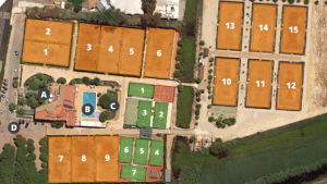 Vacances tennis à Gandia-5