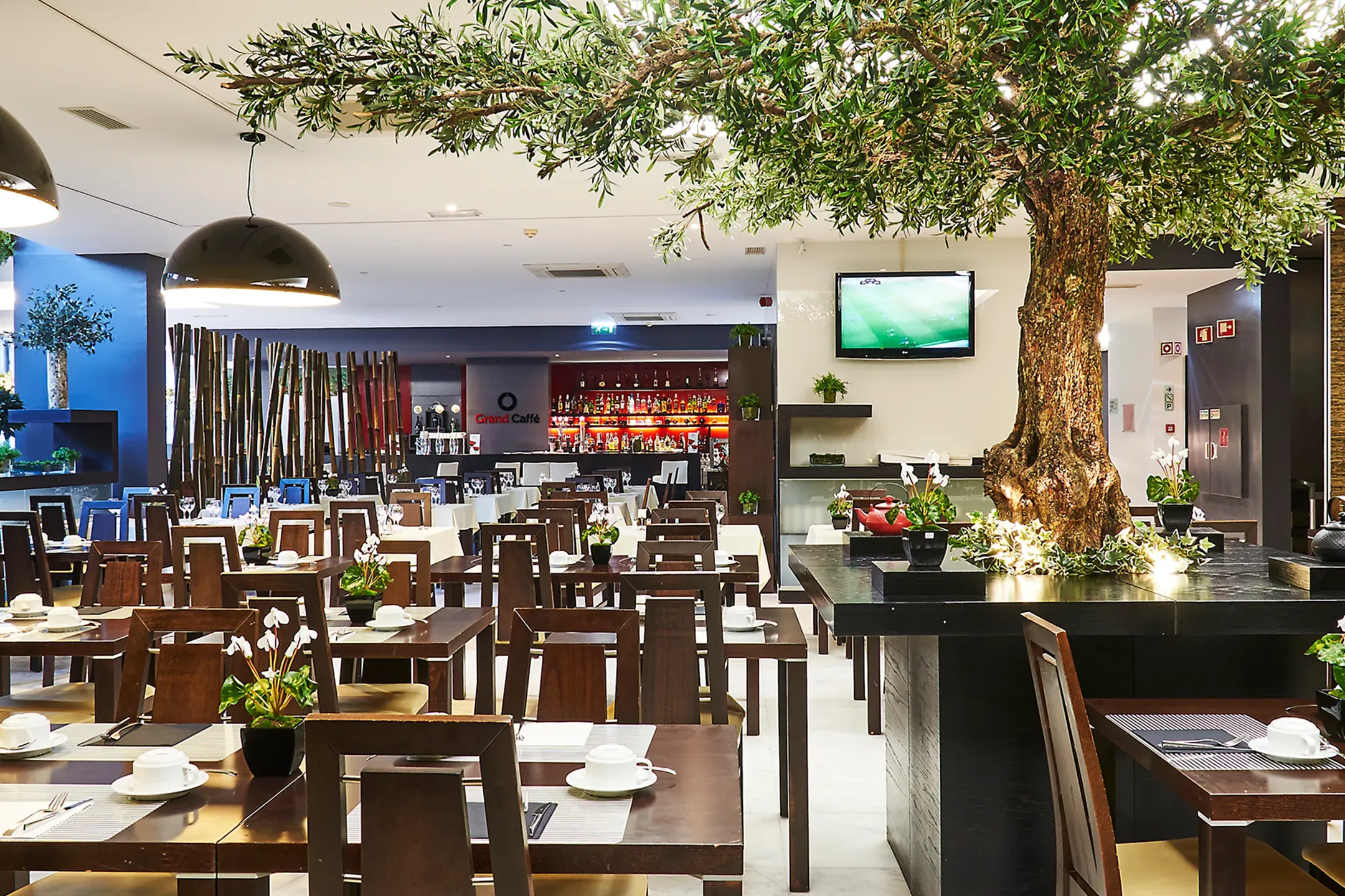 RR Hotel da Rocha, Cafe, Portimao, Portugal