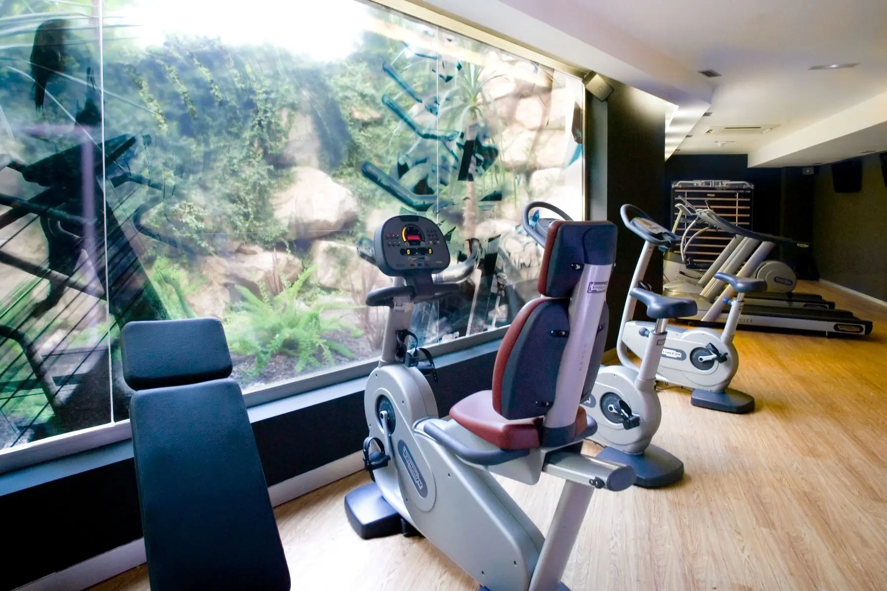 Albir Playa Hotel & Spa, Gym, Albir, Spanien