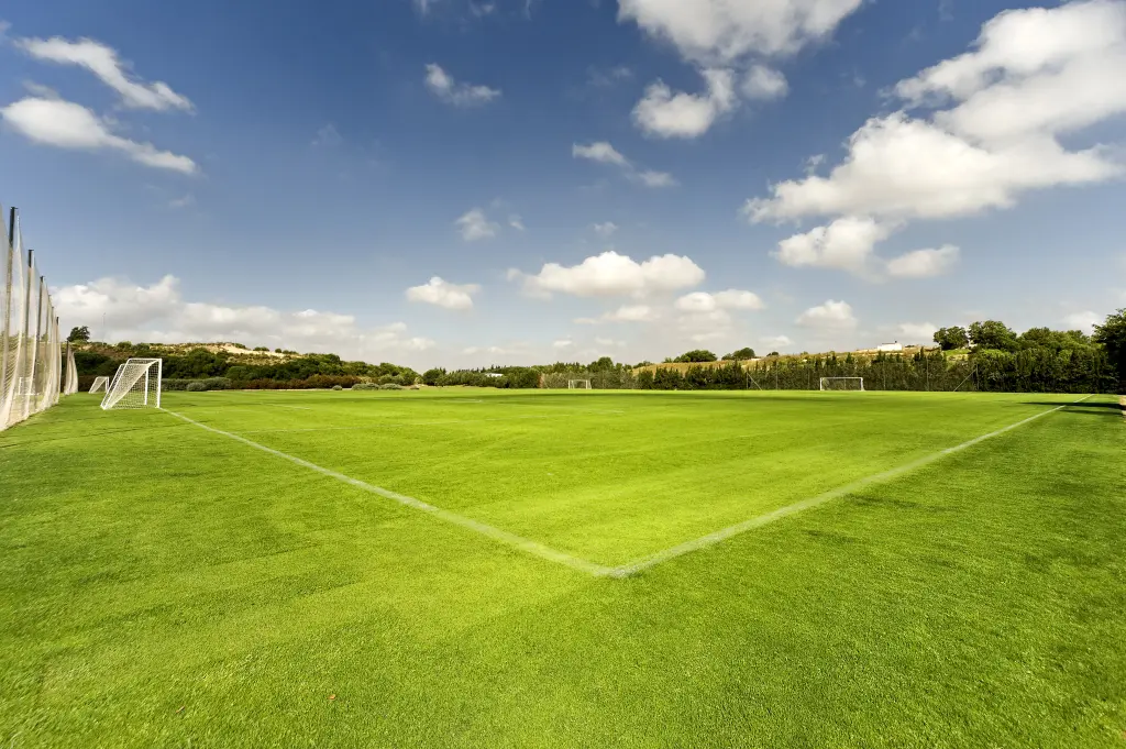 Terrain de football Barcelo Montecastillo, Espagne, avec gazon naturel