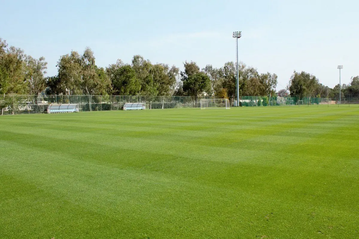 Soccer field at Kaya Belek Hotel, Turkey, with natural grass, near the sea