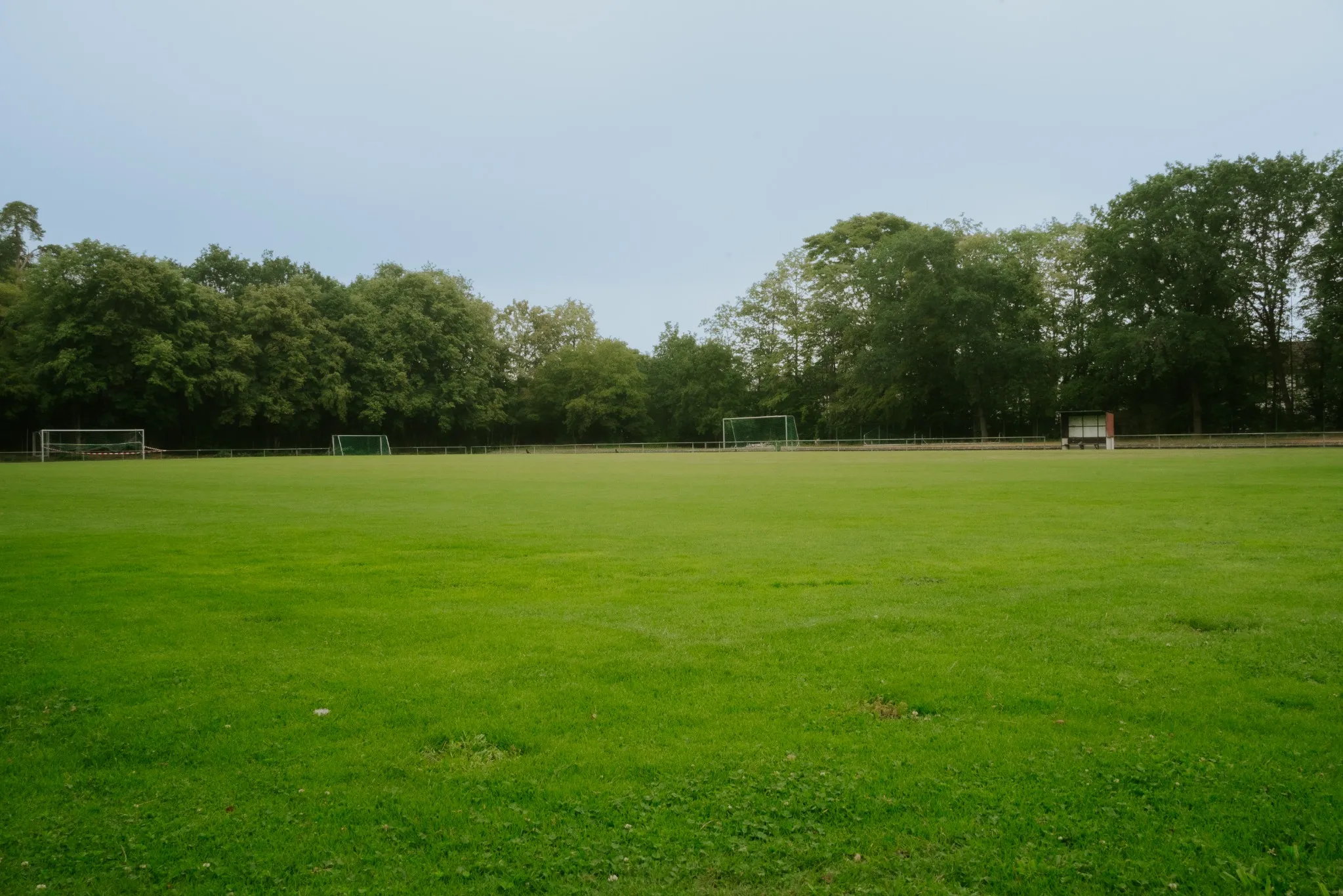 SG Oftersheim soccer facility, Germany, with natural grass