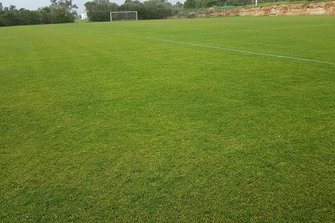 Terrain de football Ayia Napa Municipality Grounds, Chypre, avec gazon naturel, près de la mer