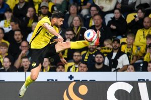 BSC-YB-Benito