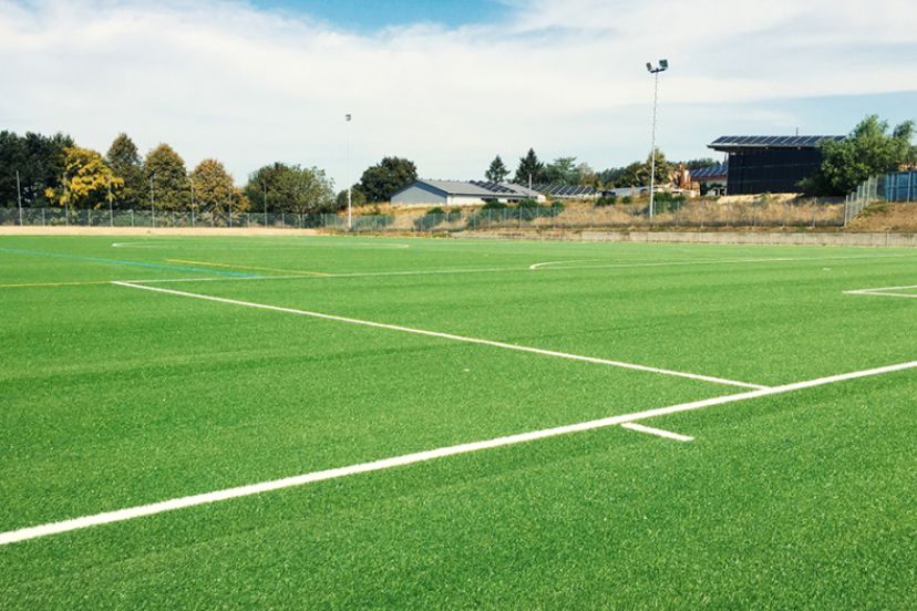 Landhotel Gasthof zum Hirsch, artificial turf, Germany